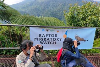 Hari Burung Migrasi Sedunia, Yayasan KEHATI dan Burung Indonesia amati raptor