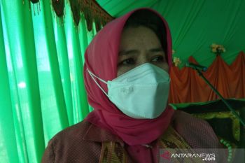 Dinas Pertanian Kendari mendorong petani Amohalo ke sistem organik