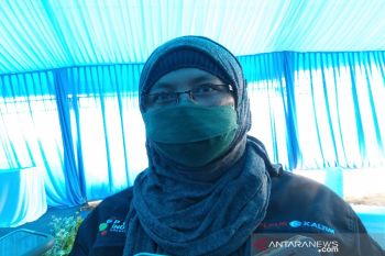 Pupuk Kaltim sebut serapan pupuk subsidi urea di Sultra capai 65 persen