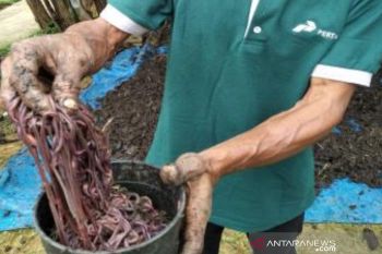 Mencegah karhutla dengan Pulsa Cacing