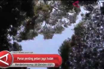 Peran penting petani Lampung jaga kelestarian hutan