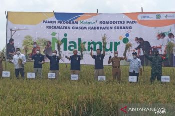 Pupuk Indonesia: Program Makmur menaikkan produktivitas petani 44 persen