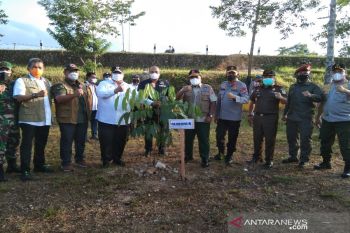 Gubernur Sultra dan BNPB tanam 1.000 pohon mitigasi bencana di Kendari