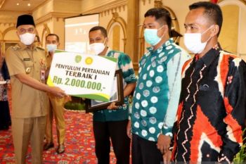 Pemkab Tapin berikan penghargaan untuk penyuluh dan petani