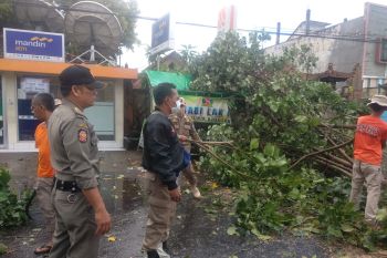 BPBD Mataram mengingatkan waspada cuaca ekstrem 10 hari ke depan