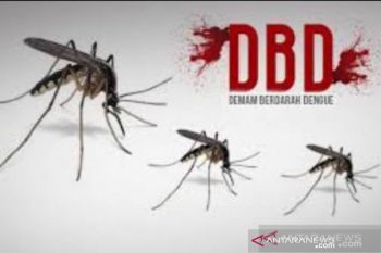 IDI Bangka gandeng PT Timah tekan kasus DBD