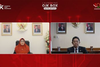 OJK perkuat pengawasan berbasis teknologi informasi untuk BPR dan BPRS