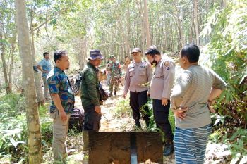 Petugas gabungan temukan jejak Harimau di kebun karet Desa Siraisan