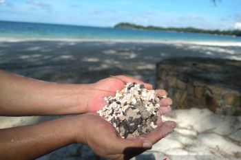Pantai di kawasan Bintan kembali tercemar limbah minyak