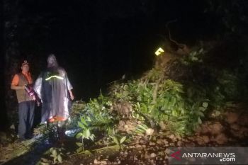 Lalu lintas kendaraan terganggu akibat tanah longsor di Agam