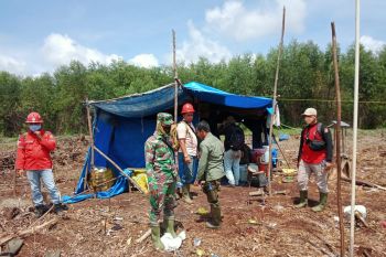 Sedang tidur di pondok, remaja perempuan tewas diterkam Harimau di Inhil