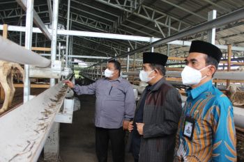 Kakanwil Kemenag Sumut apresiasi sentra ternak Dompet Dhuafa Waspada