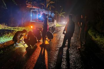 Hujan deras, gerak cepat PLN atasi gangguan listrik di Kabupaten Purworejo