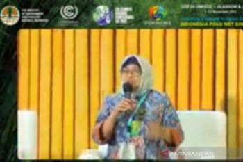 Mangrove berkontribusi besar capai target net sink emisi GRK