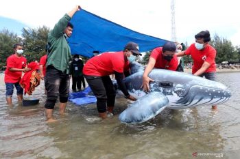 Indonesia pertegas komitmen pulihkan ekonomi berbasis laut yang berkelanjutan