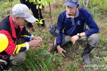 Jejak Bumi Indonesia: 64.000 hektare hutan di Kabupaten OKU kritis