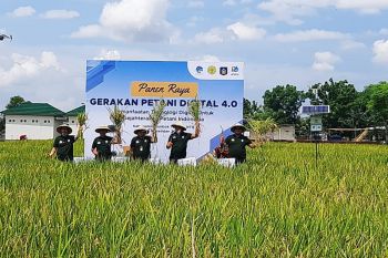 Kemenkominfo mendorong pemanfaatan teknologi digital oleh petani