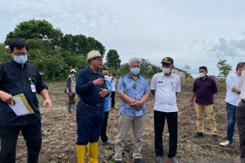 KSP sebut Food Estate di Sumba Tengah buat waktu tanam lebih cepat