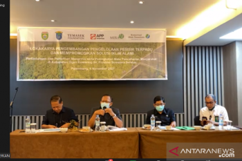Pengelolaan pesisir harus dimulai dari rehabilitasi mangrove
