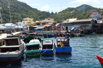 Ladan di Anambas satu-satunya desa mandiri di Kepri