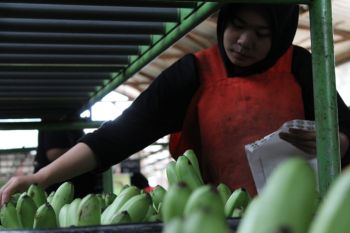Pemprov Lampung mendorong modernisasi koperasi produksi
