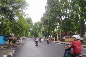 DLH Mataram akan membuat jalur rintisan bebas pohon tumbang