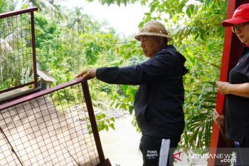 Pemkab Jembrana segera perbaiki jembatan putus diterjang banjir