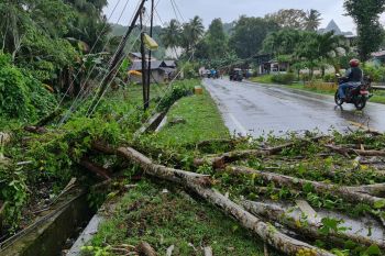PLN pulihkan 89 persen suplai listrik pelanggan di Pulau Nias