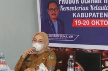 Pacu pertumbuhan ekonomi, Pemkab Mamuju tingkatkan produksi jagung