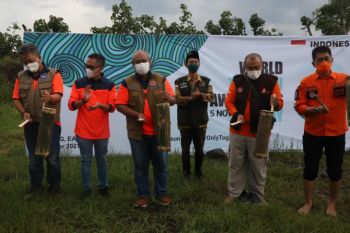 Hari Kesadaran Tsunami Sedunia BNPB lakukan  penanaman pohon mitigasi tsunami