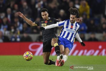 Liga Inggris - Brighton dan Newcastle gagal keluar dari tren nirmenang