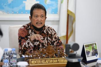 KKP: Penempatan kabel dan pipa bawah laut harus sesuai ekonomi biru