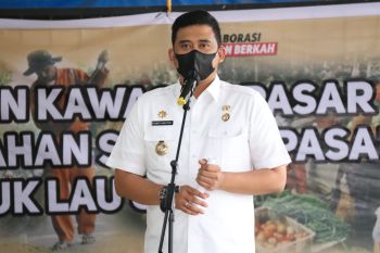 Pemkot Medan buka program beasiswa pendidikan hingga sarjana bagi 300 orang