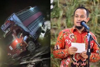 Plt Gubernur Sulsel: Segera dibangun kembali jembatan yang ambruk di Luwu