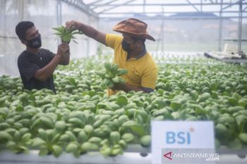 Pemanfaatan KUR BSI