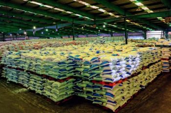 Indonesia bakal ekspor 120.000 ton urea per tahun ke Korsel
