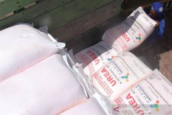 Pemkab Pessel : Pengawasan pupuk subsidi minim saat pandemi COVID-19