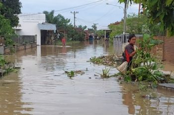 Banjir rendam empat kecamatan di Serdang Badagai Sumut