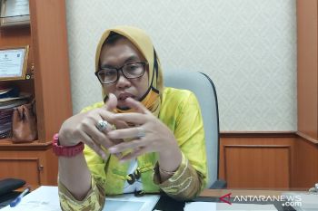 Ketua DPRD Kulon Progo minta RPJMD transisi berorientasi percepat aerotropolis