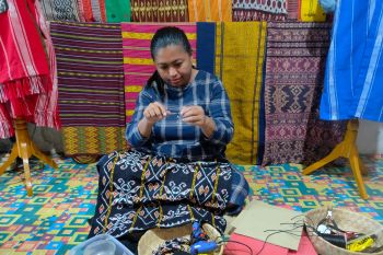 Yuk! intip inspirasi dari 250 UMK di PLN TJSL Fest 2021
