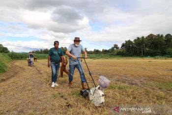 Pemkot Payakumbuh kaji tanaman pertanian yang tepat untuk daerah sekitar TPA