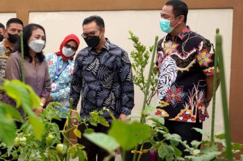 Perangi tengkes, Pemkot Semarang buka rumah dan kebun gizi