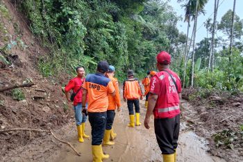 Tim gabungan BPBD Pasaman Barat bersihkan material longsor dan banjir di Talamau