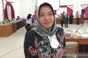 Legislator Barsel maknai Hari Pahlawan momentum kobarkan semangat majukan Indonesia