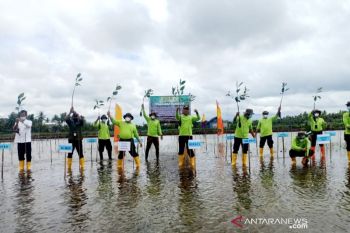 Bupati Sukamara apresiasi pelaksanaan Program PEN