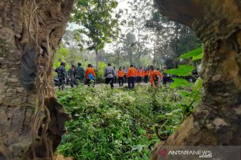 Basarnas melanjutkan pencarian kakek 80 tahun hilang di hutan Konawe