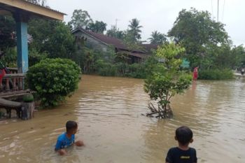 692 rumah di Langkat terdampak  banjir