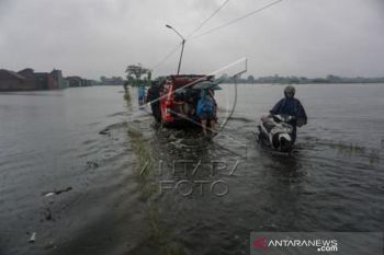 Banjir Rob Pekalongan