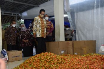 Sultan mendorong intervensi Pemkab Sleman dalam inovasi sektor pangan