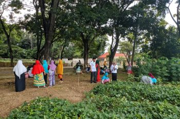 Program P2L Sulsel disinkronkan dengan program kabupaten